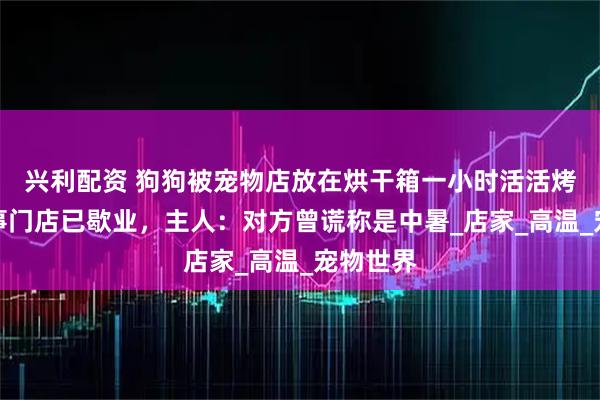 兴利配资 狗狗被宠物店放在烘干箱一小时活活烤死?涉事门店已歇业,主人:对方曾谎称是中暑_店家_高温_宠物世界